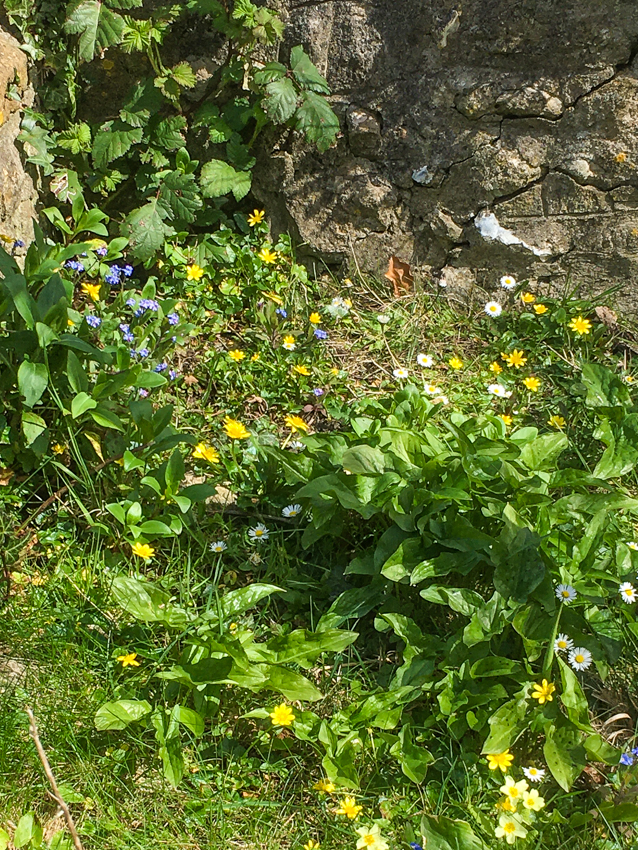 A beautiful Spring display in the churchyard
