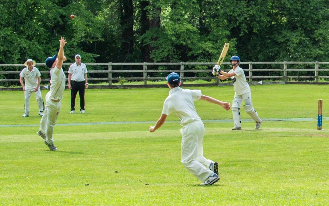 Cattistock & Symene Cricket Club – Fixtures