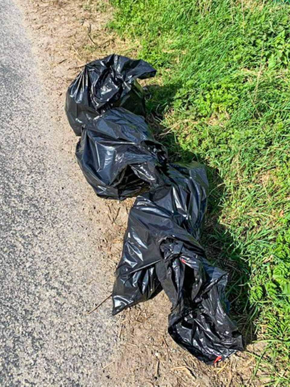 Litter pick 2022: Each group collected multiple bags of rubbish from around Cattistock