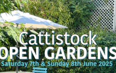 Cattistock Open Gardens