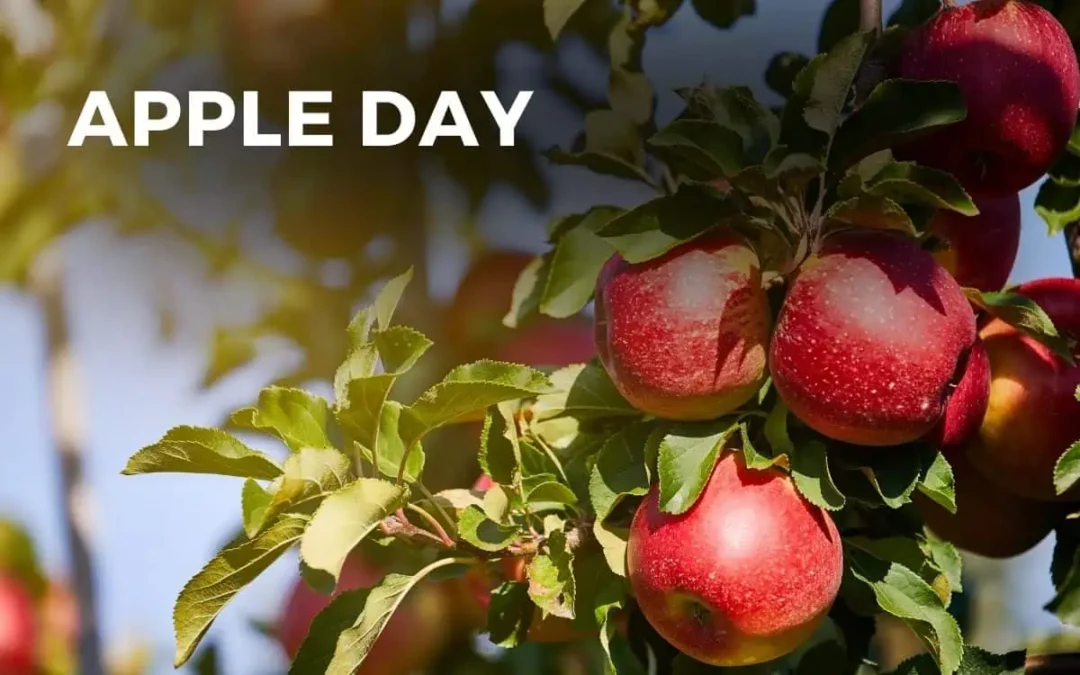 Apple Day 2025