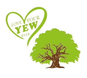 Did Yew Know? 9th – 15th Feb is Love Your Yew Week